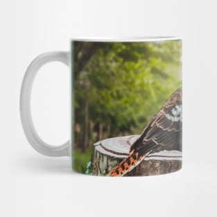 Laughing Blue-Winged Kookaburra Bird Sitting on Tree Stump Mug